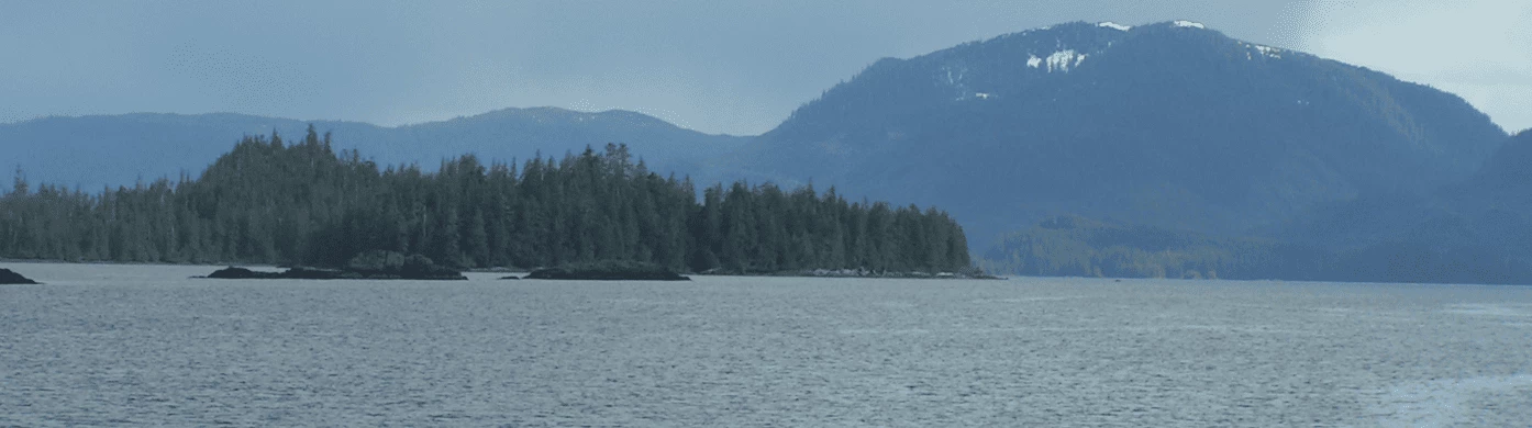 Header-Case-Studies (1)