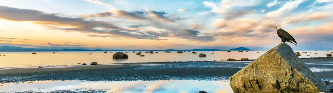 Service-header-2 (1)