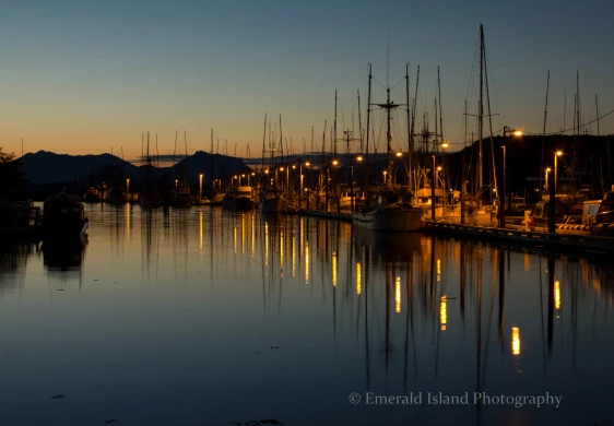 ed111b_5b179340d8a27c71446d933f5c59f3b5