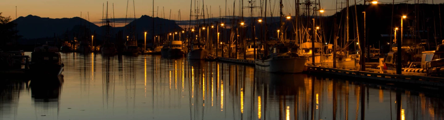 ed111b_5b179340d8a27c71446d933f5c59f3b5